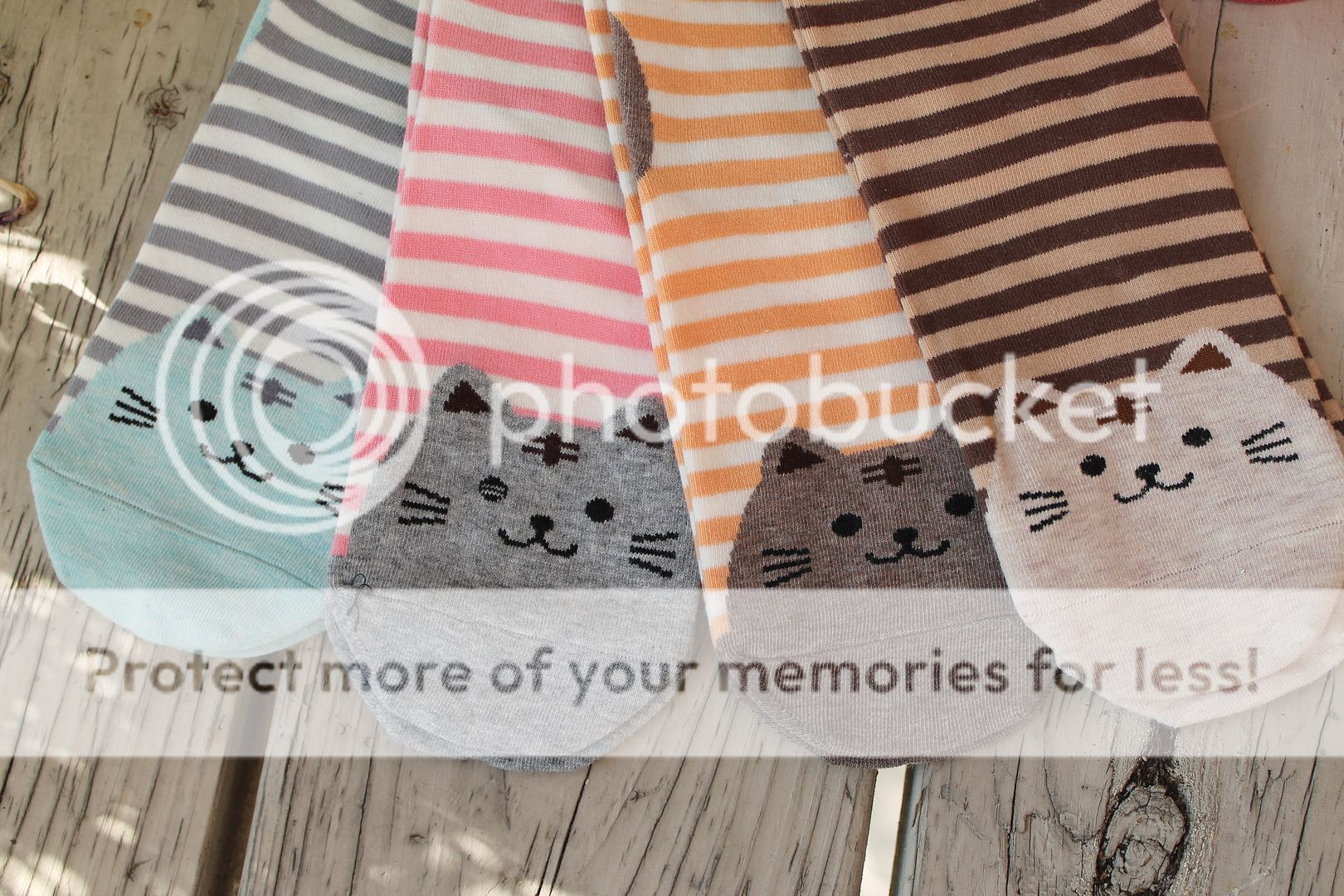  photo IMG_5985_zpsdc1fvfvi.jpg