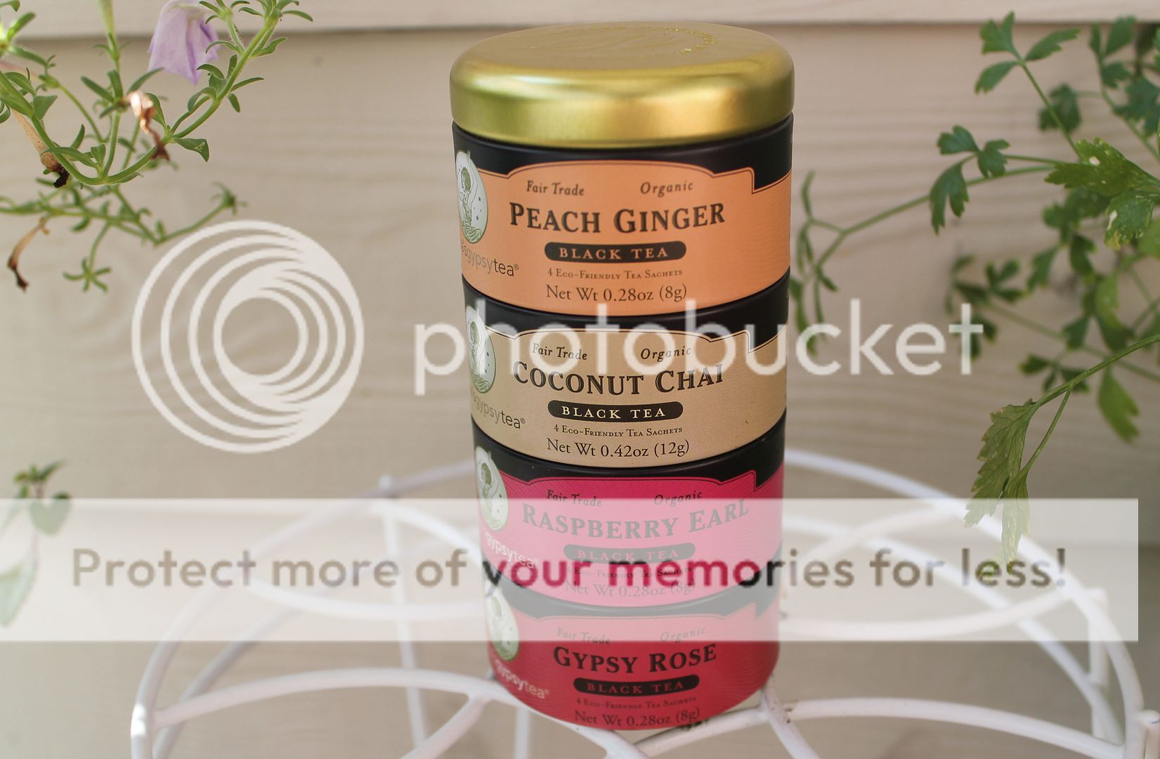  photo IMG_5986_zpsz4faort5.jpg