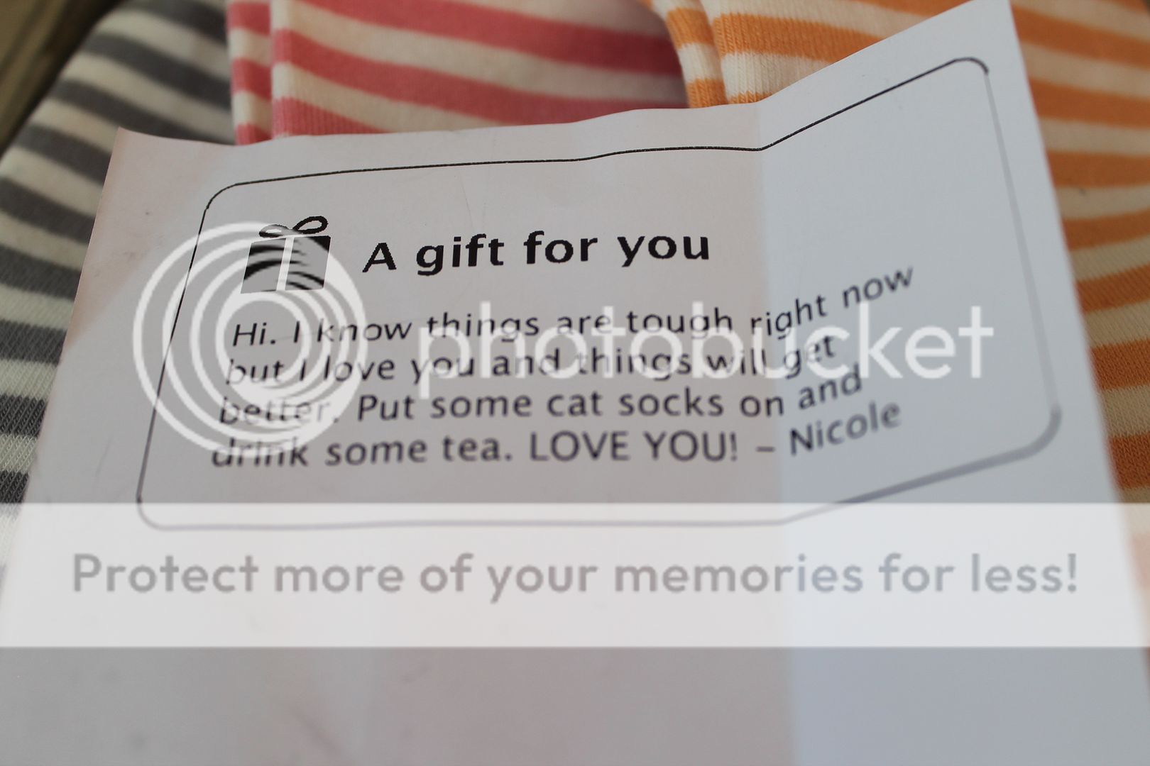  photo IMG_5988_zpskqd6sypy.jpg