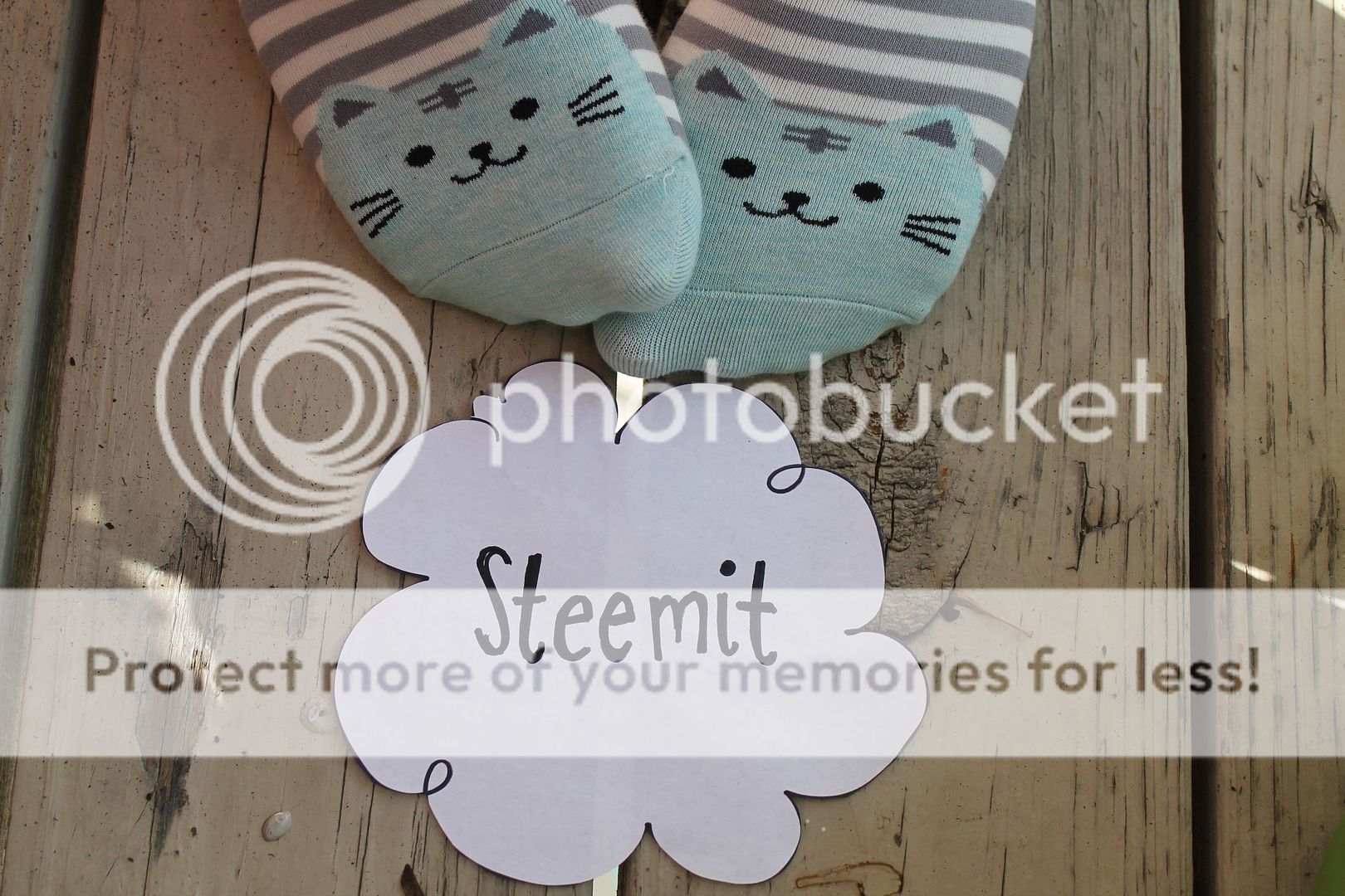  photo IMG_5992_zpswohaythk.jpg