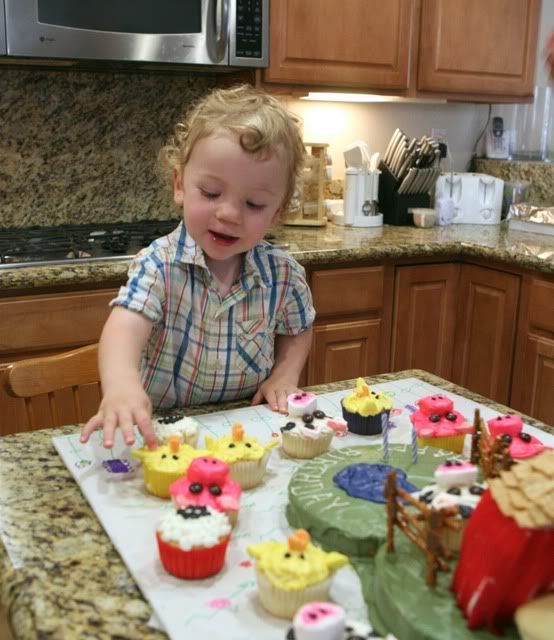 Emmy Mom--One Day at a Time: 2-Year-old Farm Birthday Cake