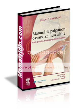manuel de palpation osseuse et musculaire
