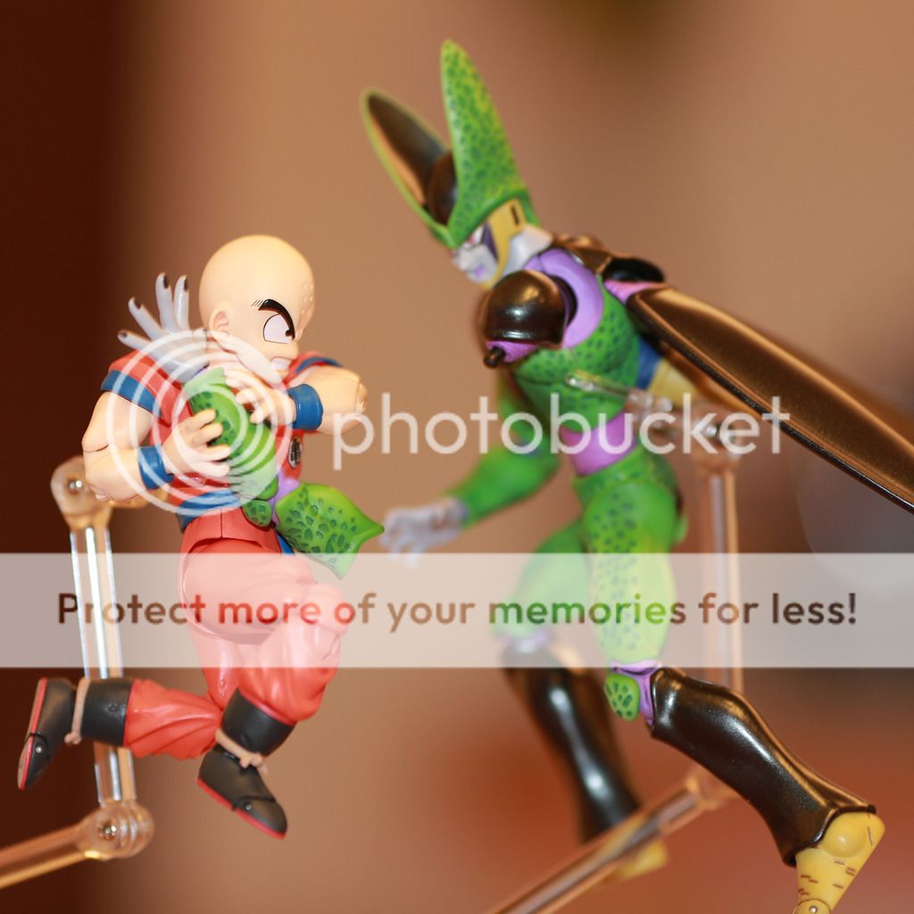 shf 龙珠 - 综合玩具 - toysdaily 玩具日报 - powered by discuz!